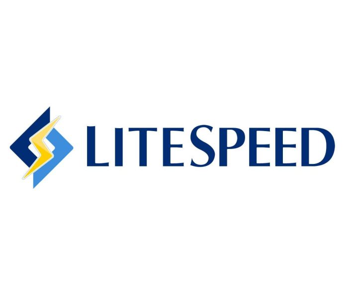 What Is Litespeed Server